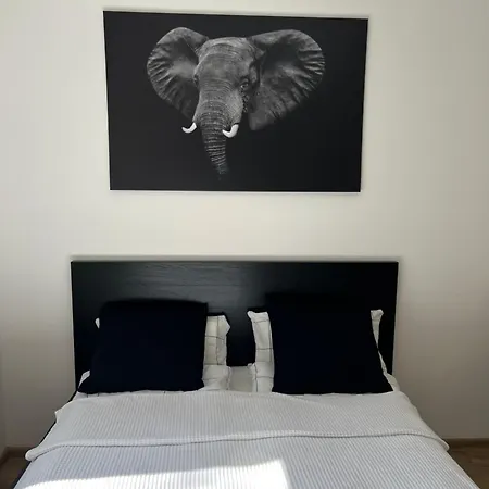 Perfect Cube Apartament Novi Sad